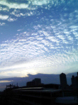 2010N1121Be